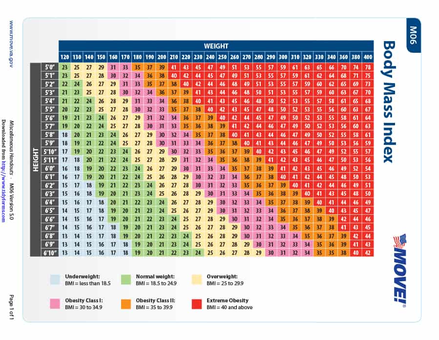 Bmi Chart Printable Template Business PSD Excel Word PDF