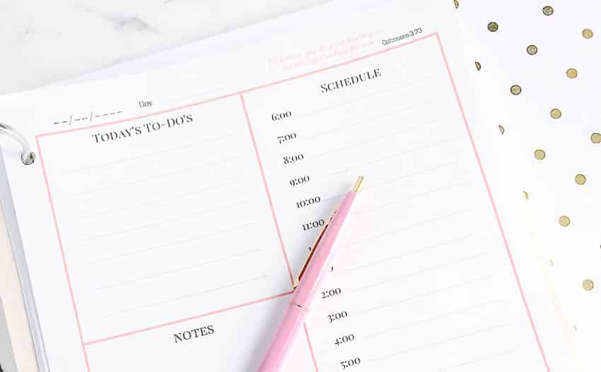 Daily Planner   Free Printable   Fantabulosity