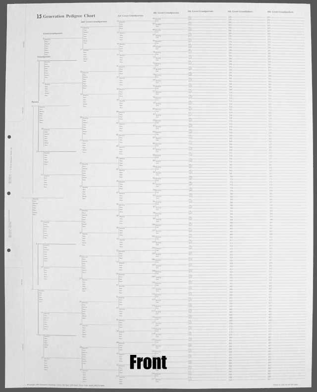 Free Printable 15 Generation Pedigree Chart Template Business PSD Excel Word PDF