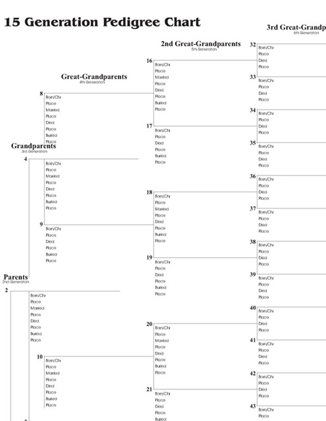 15 Generation Pedigree Chart – Stevenson Genealogy & Copy Center 
