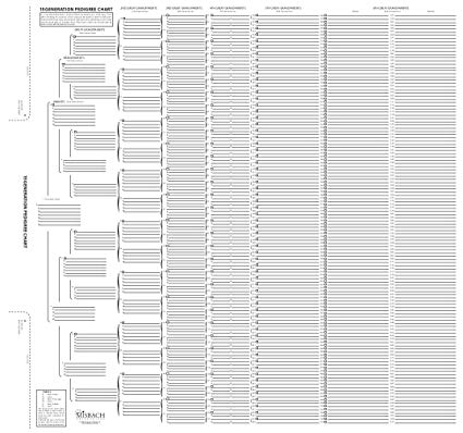 Amazon.com: TreeSeek 15 Generation Pedigree Chart | Blank 