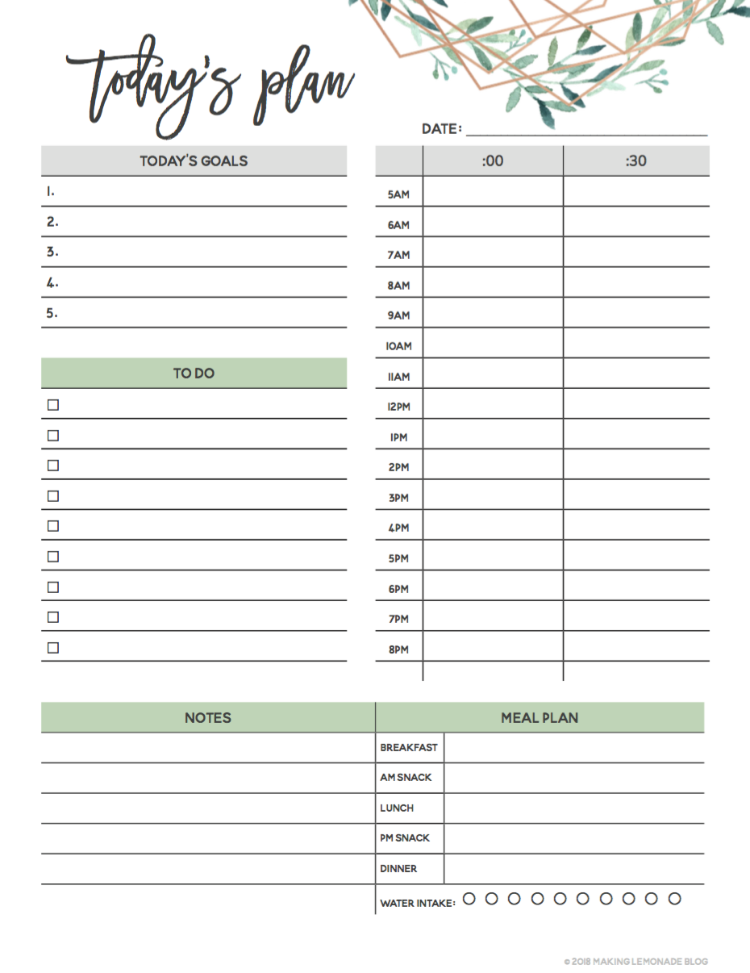Get Organized with our Free Printable 2019 Planner! | Making Lemonade