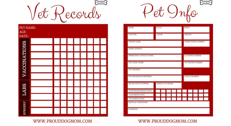 A printable pet health record for use by veterinarians or pet 