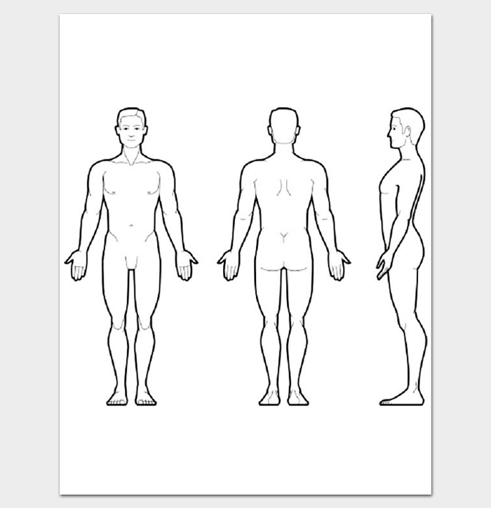 Human Body Outline Front and Back PDF | Outline Templates   Create 