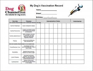 FREE DOWNLOAD: Printable Vet Records Keeper