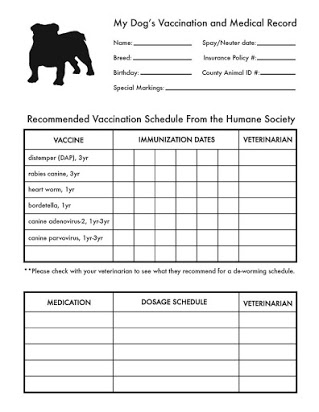 Free printable immunization record forms
