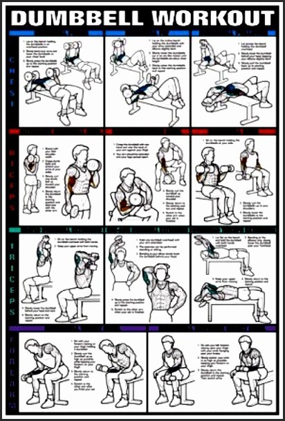CLICK TO DOWNLOAD A PRINTABLE PDF | Staying Fit :D | Workout 