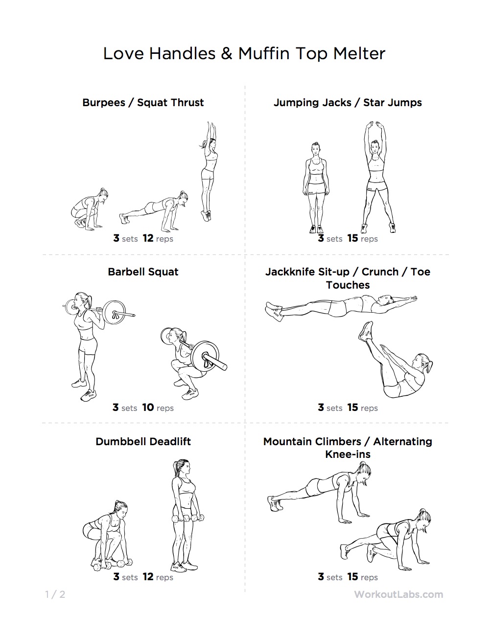 Love Handles & Muffin Top Melter Printable Gym Workout for Women