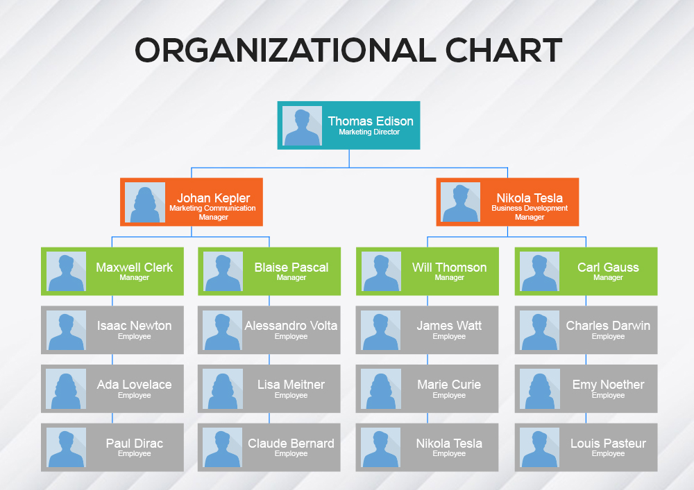 5+ Organizational Chart Template Free PSD Template Business PSD