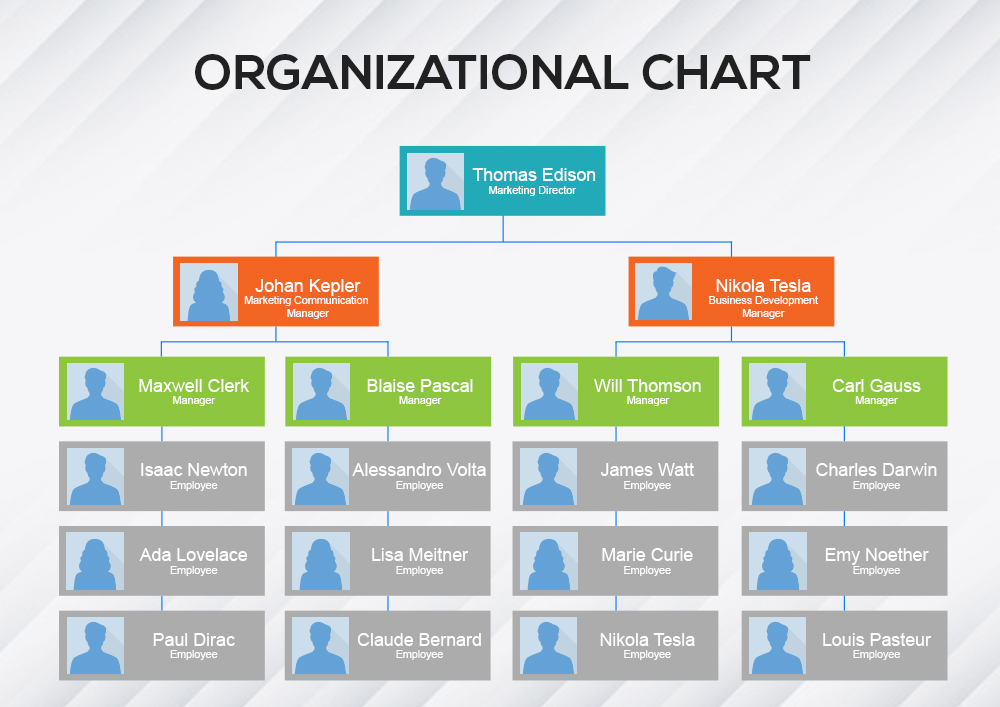 5 Organizational Chart Template Free Psd Template Business Psd Excel Word Pdf 3812