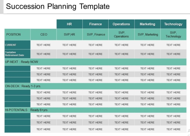 5  sample succession planning template Template Business PSD Excel