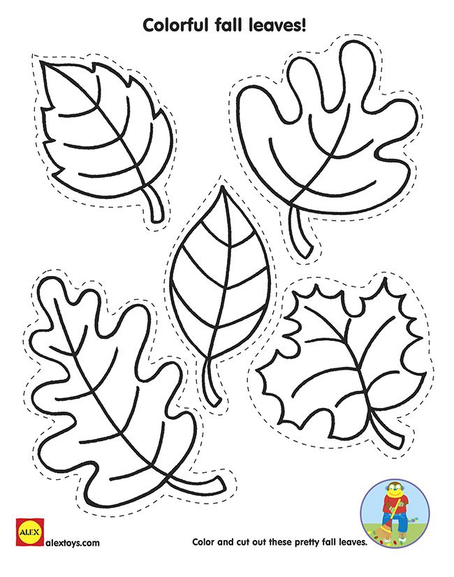 Welcome to Fall Printables | activities | Autumn activities, Leaf 