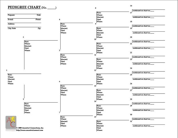 free pedigree chart | Genealogy/History | Genealogy chart 