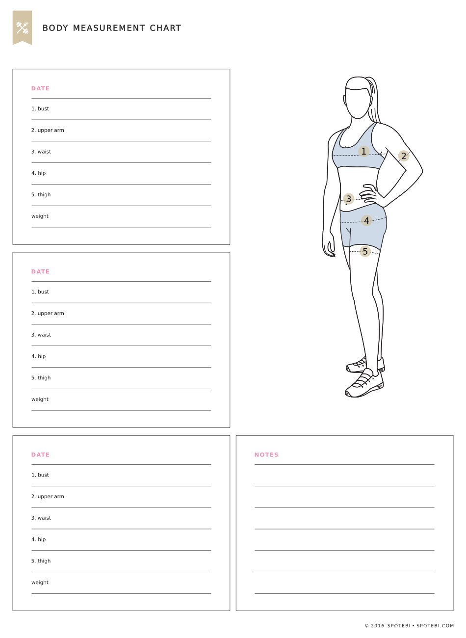 Body Measurement Chart | Fitness Tracker