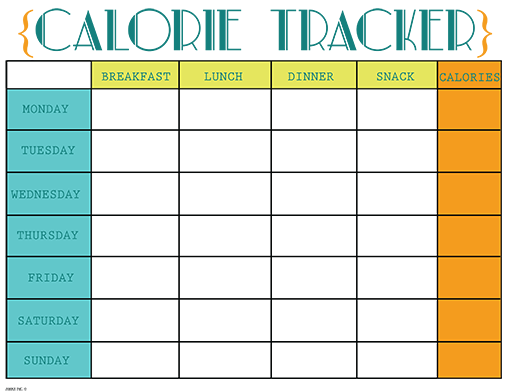 kids calorie counter worksheet   Google Search | Work | Calorie 
