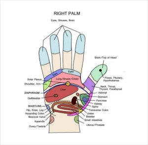 9+ Ready to Use Reflexology Chart Template for Any Purpose | Template ...