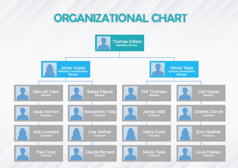 5+ Organizational Chart template free psd | Template Business PSD ...