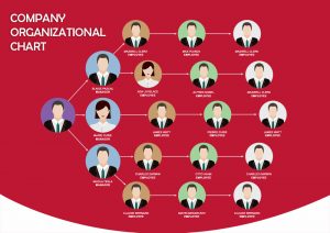 5+ Organizational Chart template free psd | Template Business PSD ...