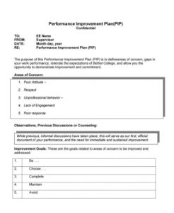 5+ Performance Improvement Plan Template 