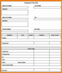 3+ Fake Pay Stub Template | Template Business PSD, Excel, Word, PDF