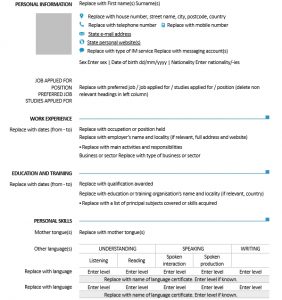 10+ Blank Resume Templates | Template Business PSD, Excel, Word, PDF