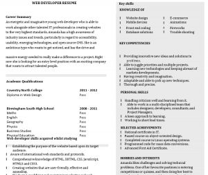 10+ Web Developer Resume | Template Business PSD, Excel, Word, PDF