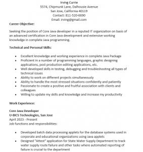 10+ Java Developer Resume Template | Template Business PSD, Excel, Word ...