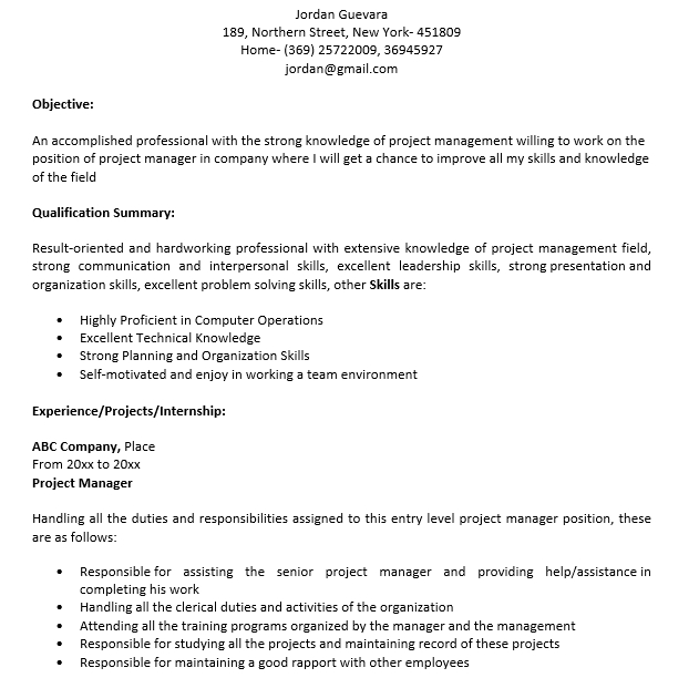 8+ Project Manager Resume | Template Business PSD, Excel, Word, PDF