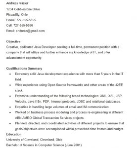 10+ Java Developer Resume Template | Template Business PSD, Excel, Word ...