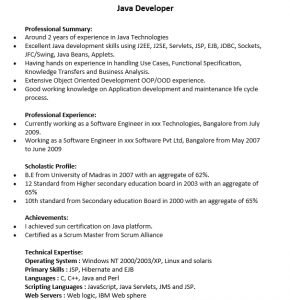 10+ Java Developer Resume Template | Template Business PSD, Excel, Word ...